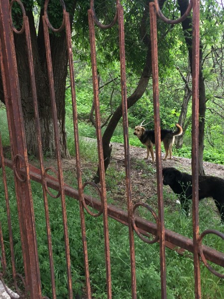 Мониторинговые мероприятия в Махачкале