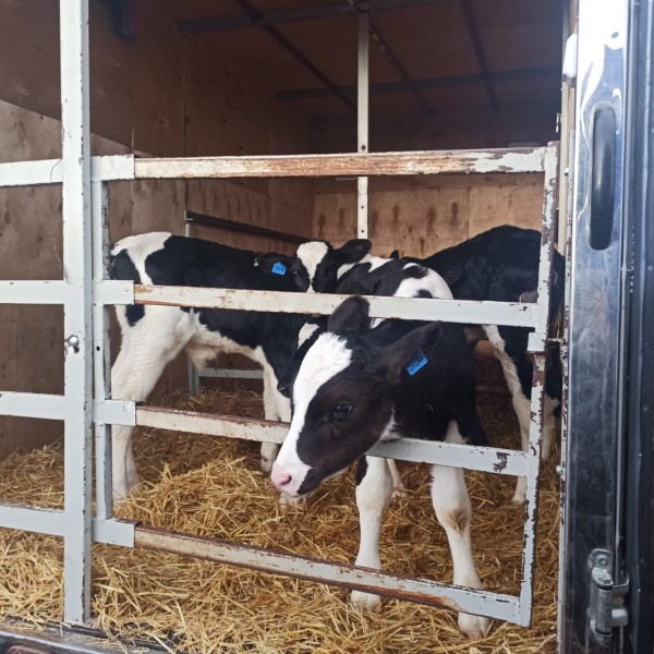 Работа Хасавюртовского отдела мониторинга