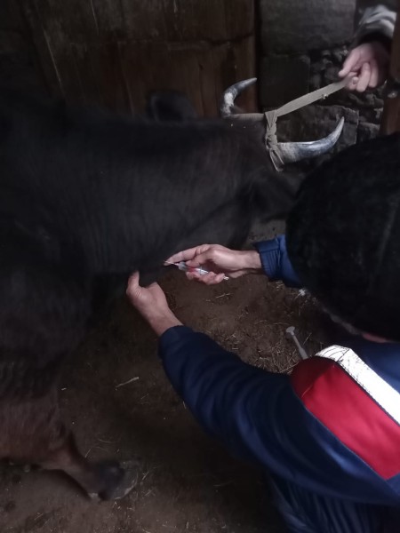 В Унцукульском районе завершаются плановые мероприятия