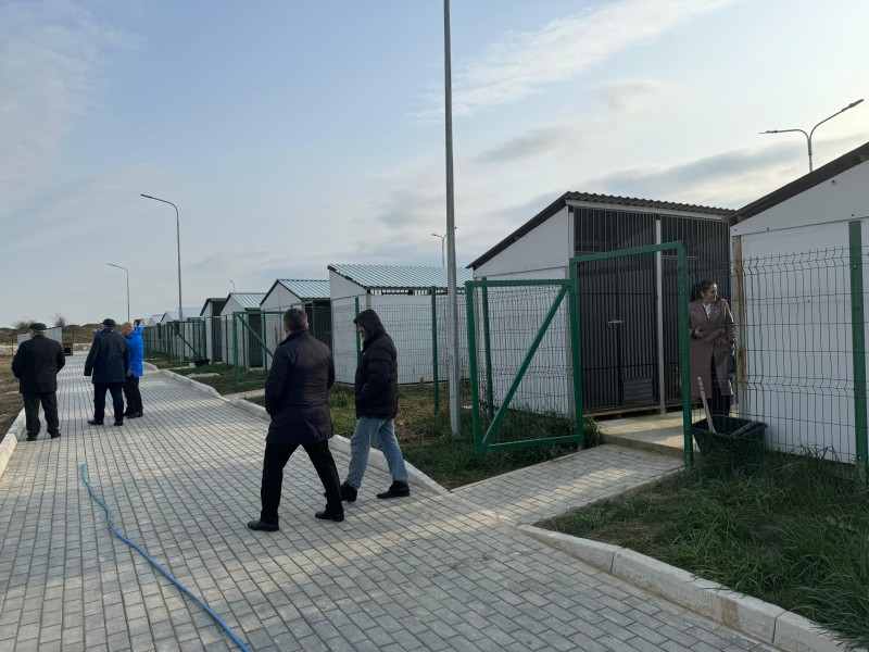 Председатель Комитета осмотрел в Дербенте приют для животных без владельцев