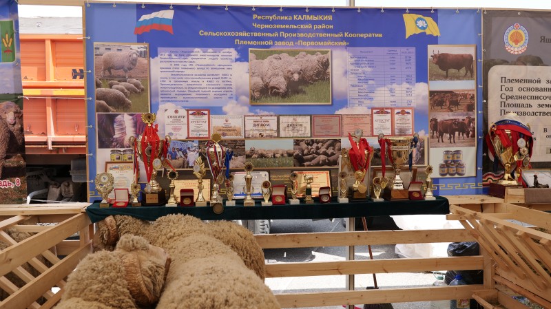 В Дагестане проходит 23 –я Российская выставка племенных овец и коз