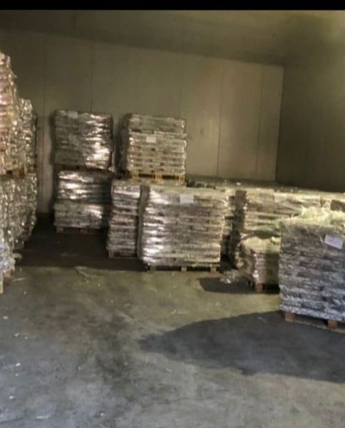 Мониторинговое мероприятие в ООО РПК «Каспий»