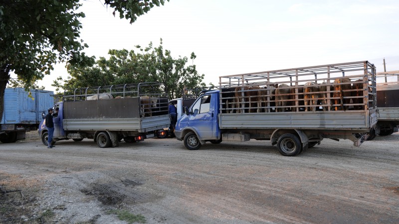Рейд на ООО «Манасская ярмарка»