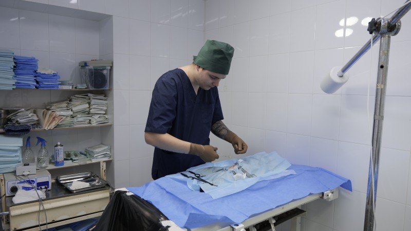 В Махачкале прошла акция «День бесплатной стерилизации бездомных животных»