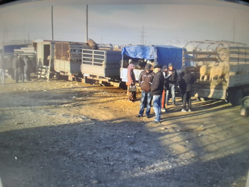 Мониторинговые мероприятия Северного межрайонного отдела