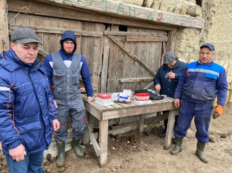 В рамках проекта «Эффективный АПК»