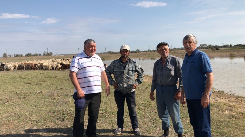 Осенние профилактические мероприятия