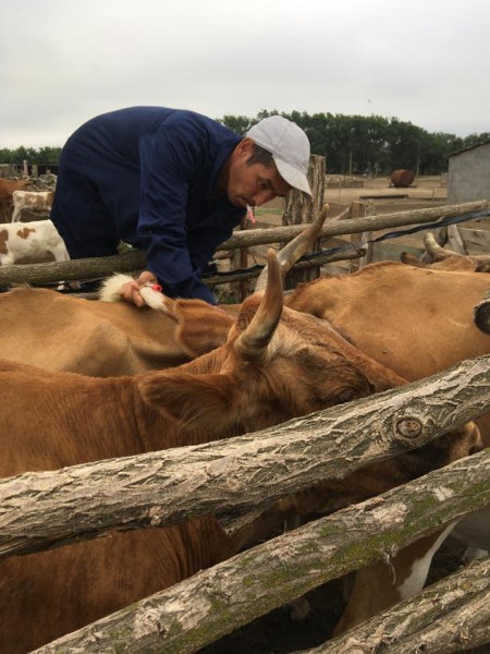 Вести с Ногайского района