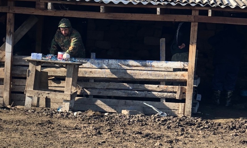 Ветеринарные мероприятия Агульском районе