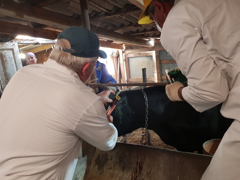 Оздоровительные мероприятия в неблагополучных пунктах города Махачкалы