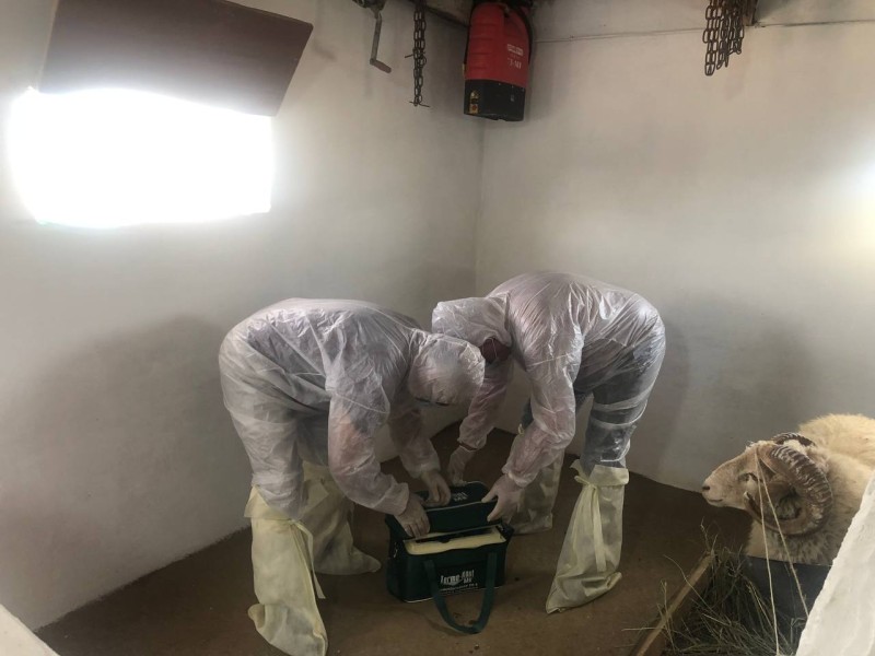 Региональные командно-штабные учения по локализации и ликвидации условного очага бешенства