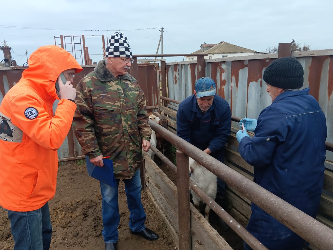 Замдиректора Щелковского биокомбината изучил иммунитет животных в Дагестане