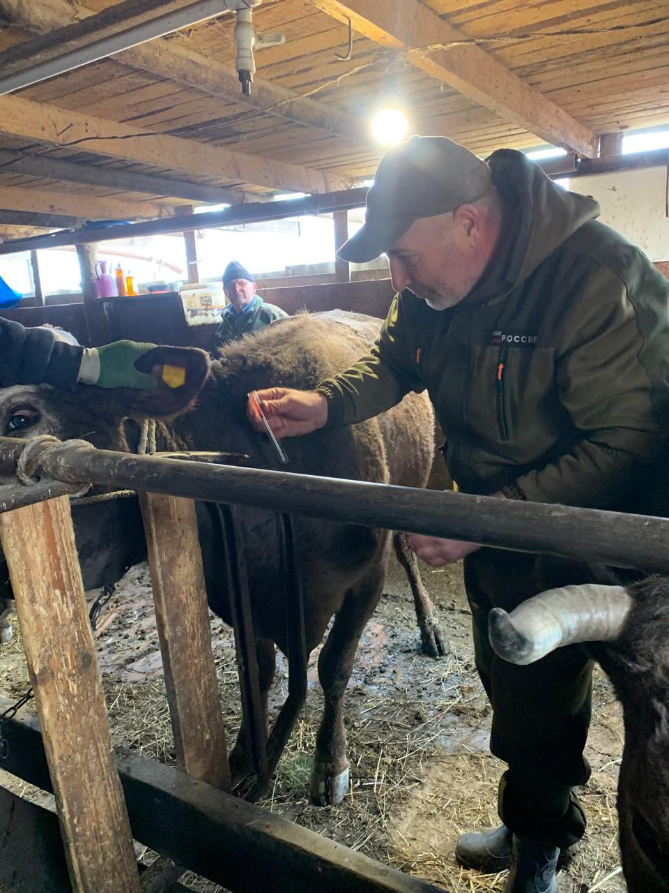 Ветеринарные мероприятия в Сергокалинском  районе
