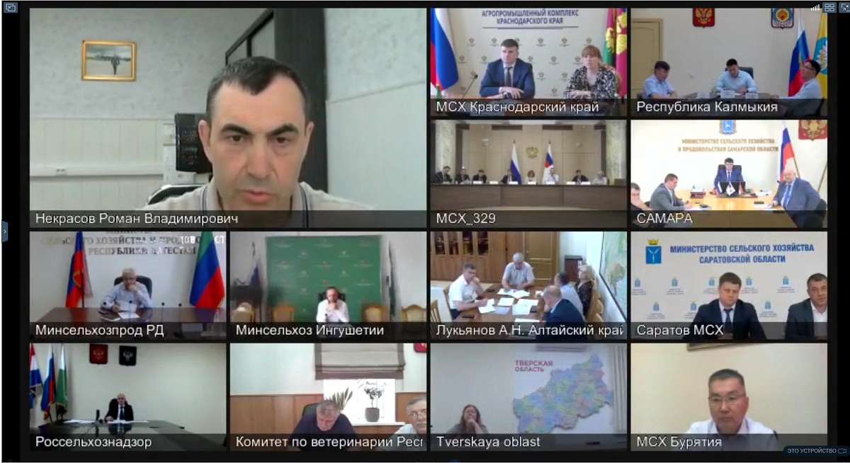 В Минсельхозе России обсудили эпизоотическую ситуацию по бруцеллезу