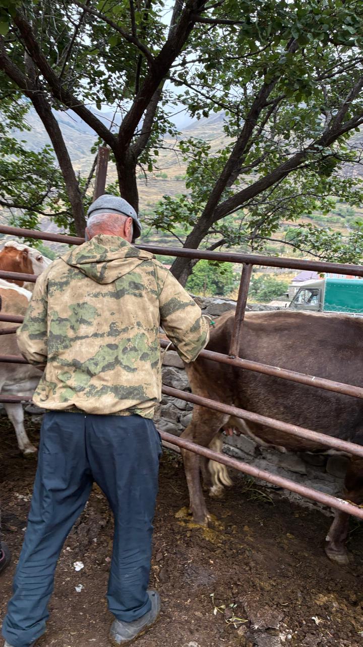 Ветеринарные мероприятия в Чародинском районе