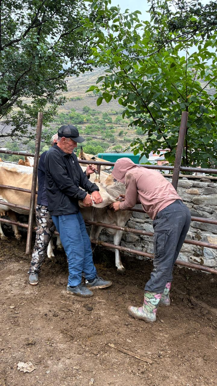 Ветеринарные мероприятия в Чародинском районе