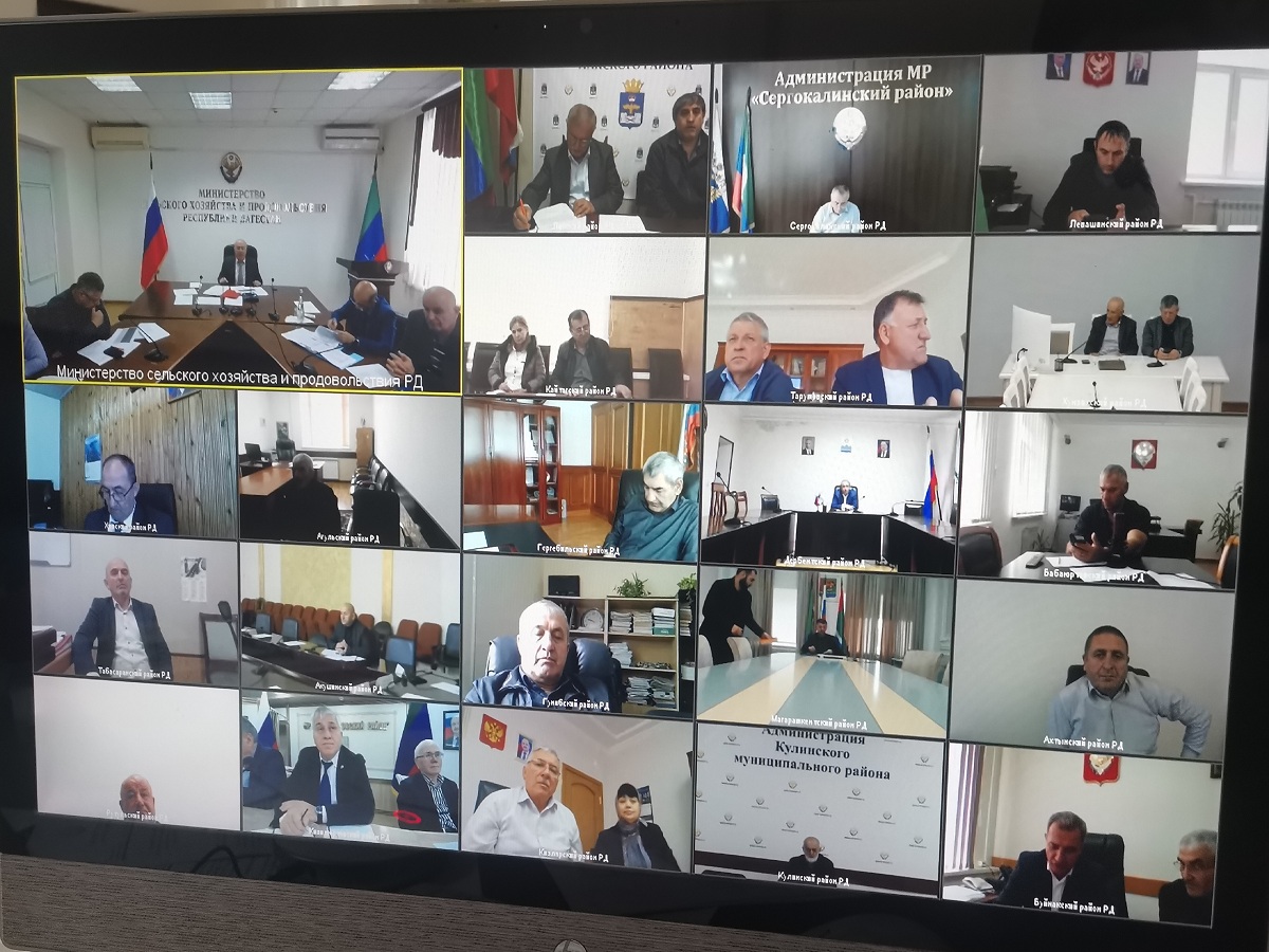 В Минсельхозпроде Дагестана обсудили вопросы учета МРС