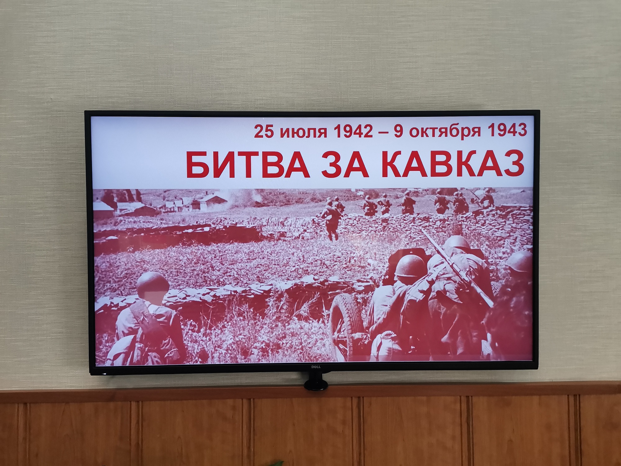 День Победы на Кавказе: Ветеринары Дагестана чтят подвиг предков