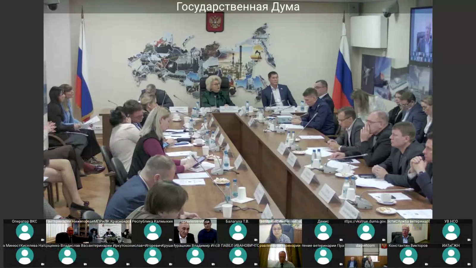 Комитет Госдумы обсудил меры защиты от нападений безнадзорных животных