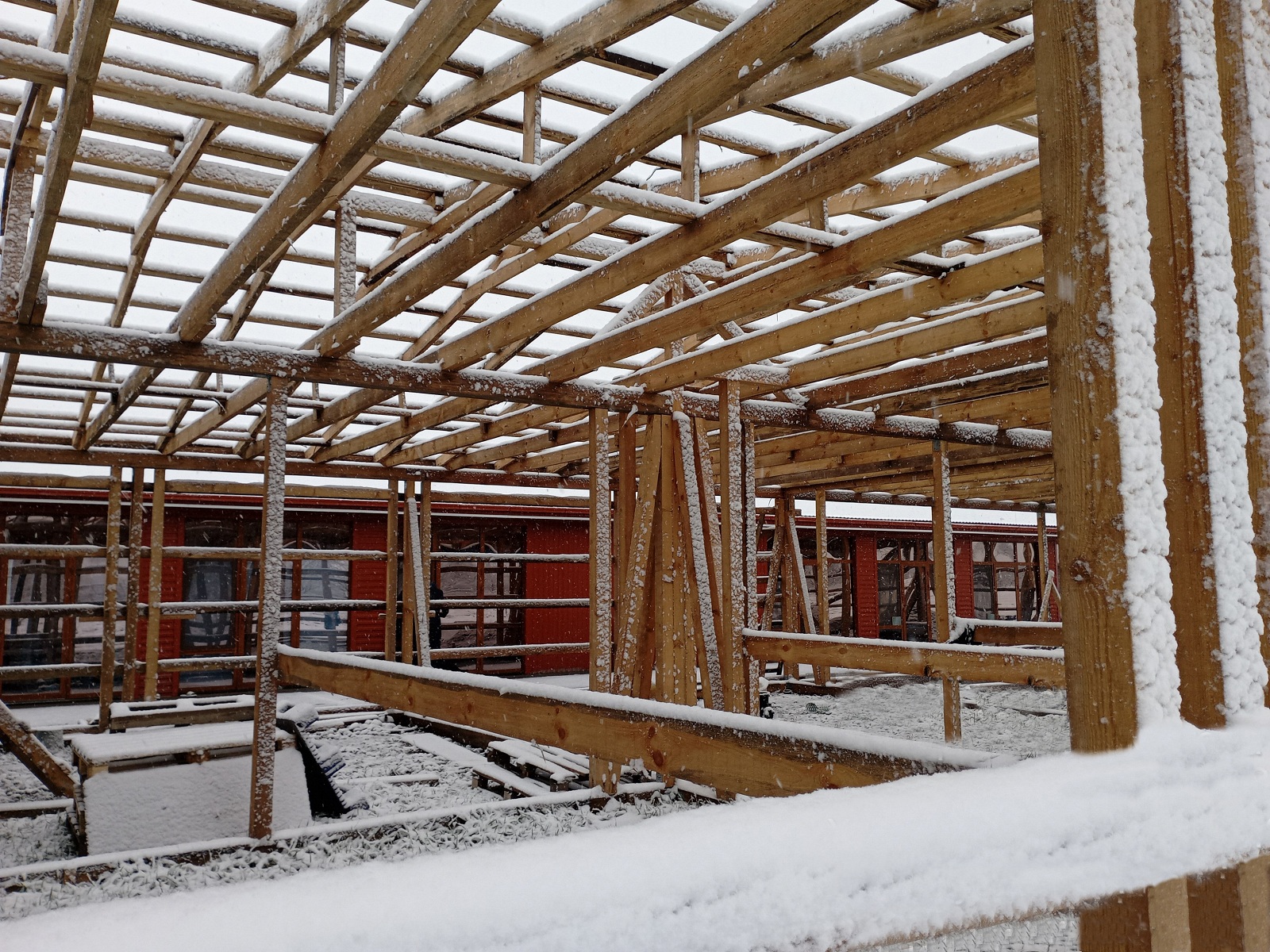 В Хасавюртовском районе появился приют для кошек