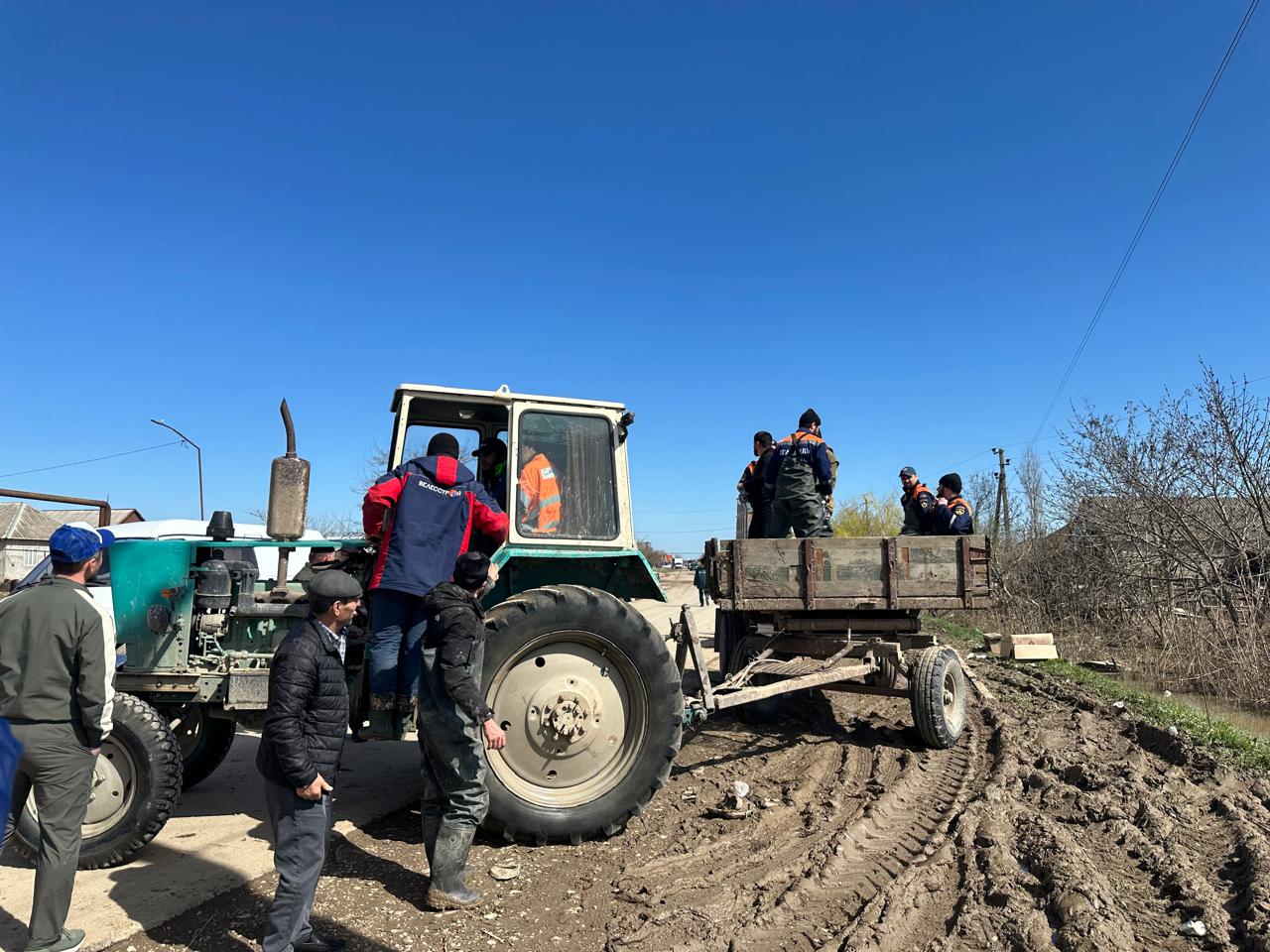 Магомед Шапиев осмотрел ход работ по сбору и вывозу павших животных