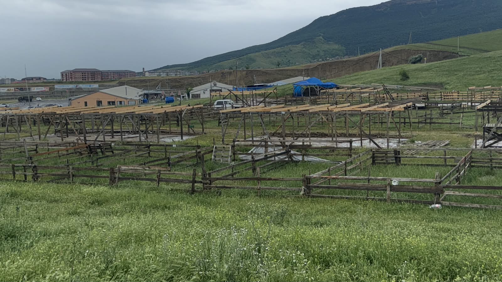 Определены площадки для забоя животных на Курбан-байрам
